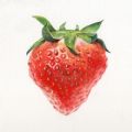 草莓社区